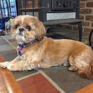 Meet your Posher, Donna